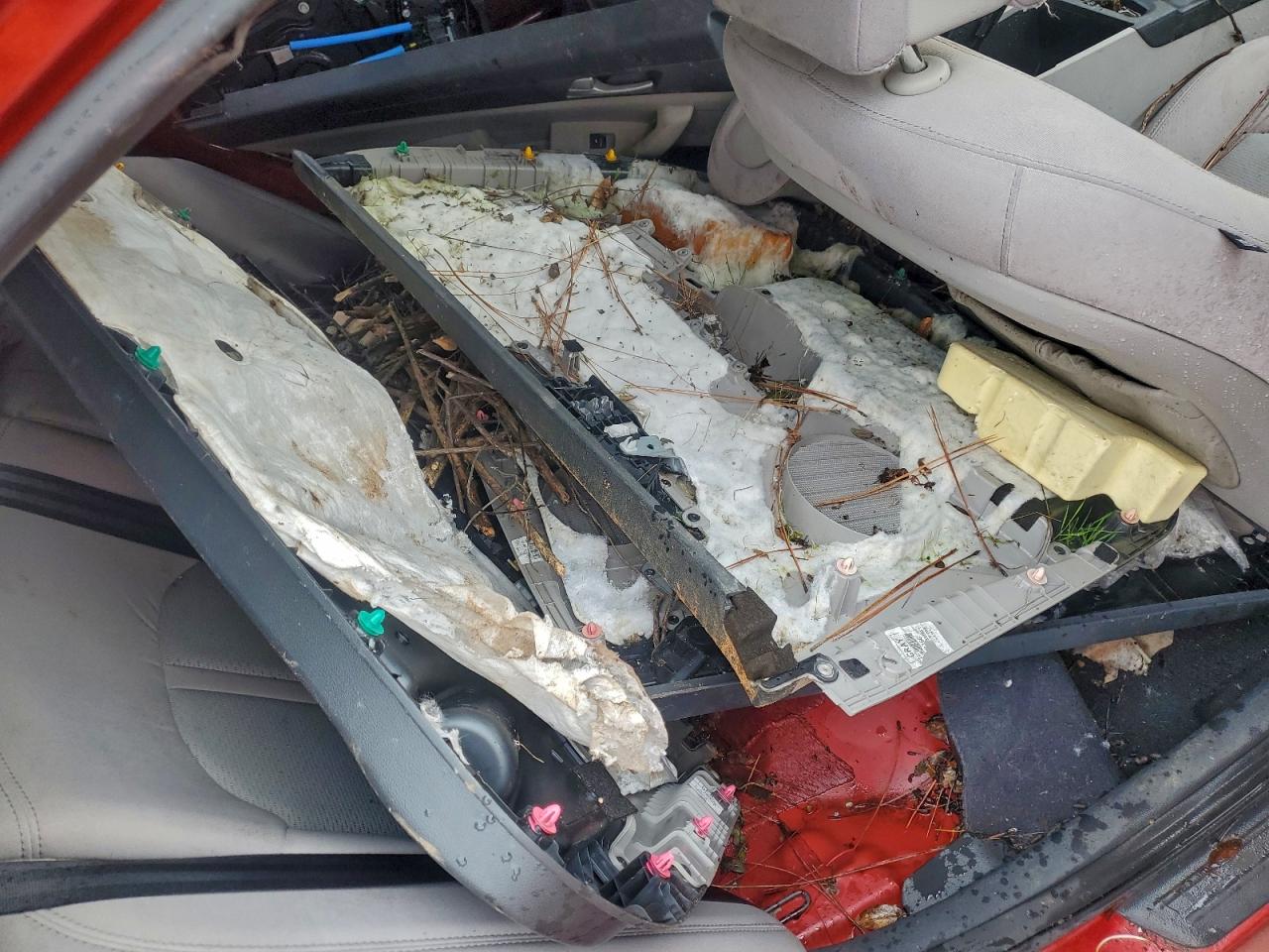 Hyundai SONATA Se Image 4