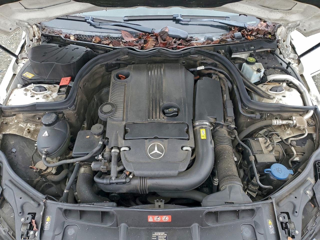 Mercedes-Benz C-Class 250 Image 10