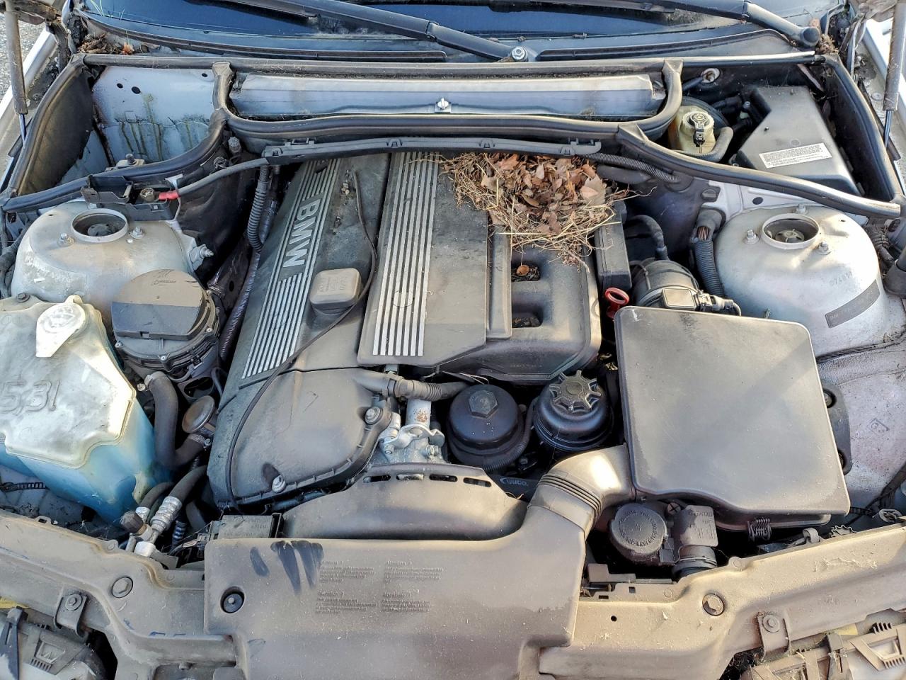 BMW 3 Series I Image 11