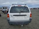 Ford Escape Xls Image 3
