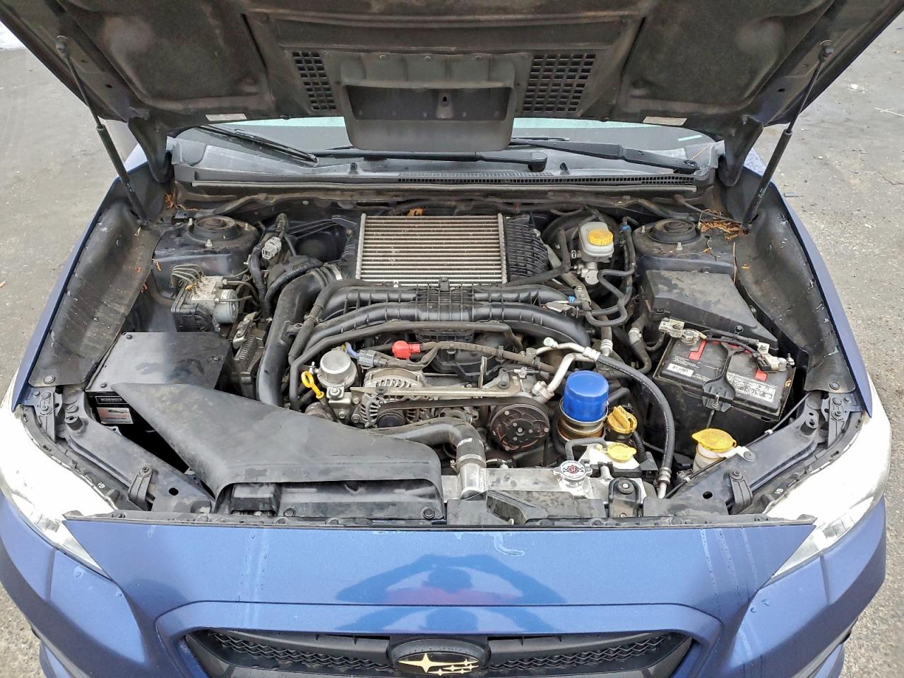 Subaru WRX Premium Image 11