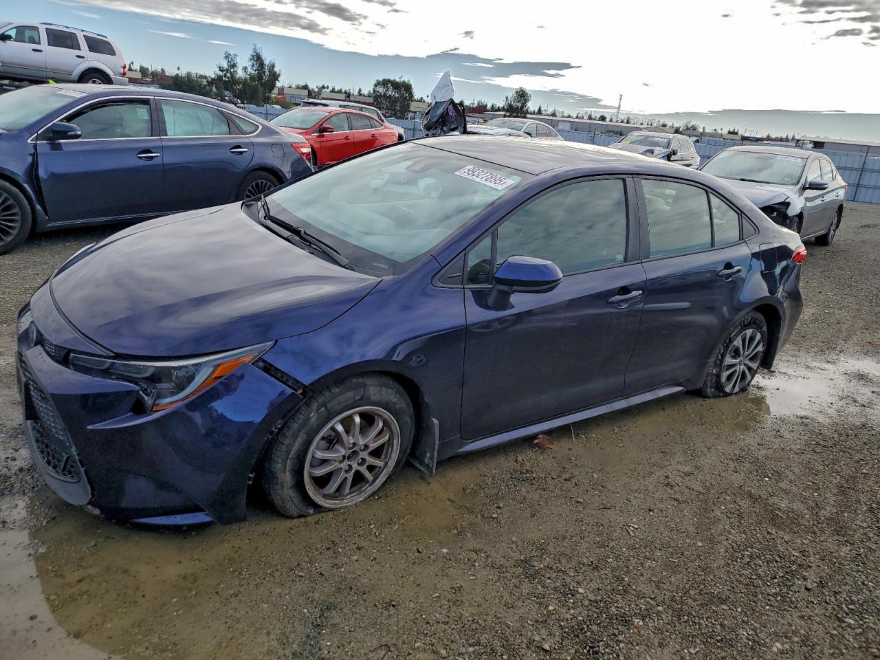 Toyota Corolla Le Image 1