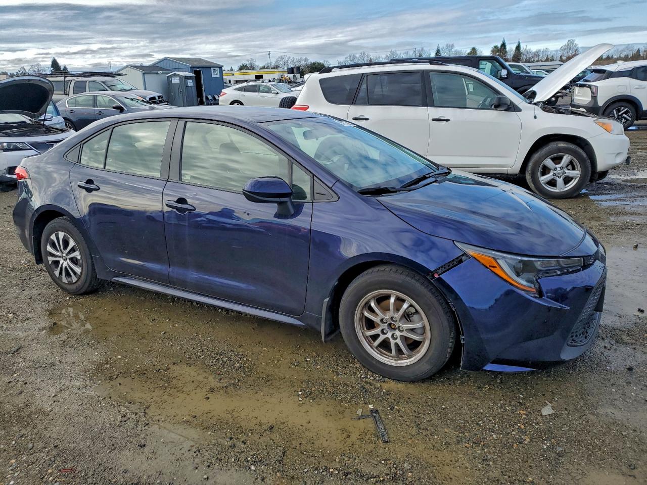 Toyota Corolla Le Image 5