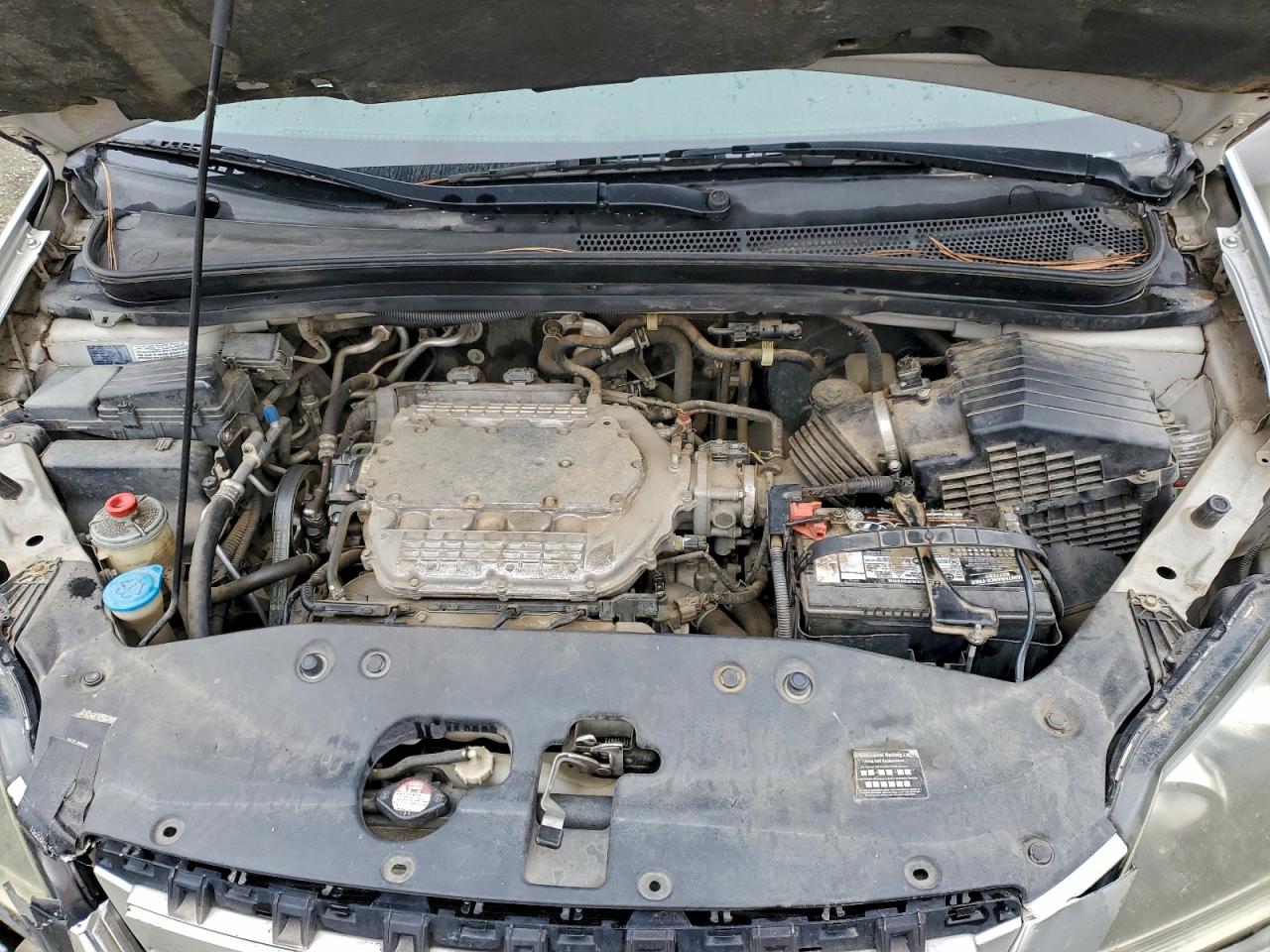 Honda Odyssey Exl Image 12