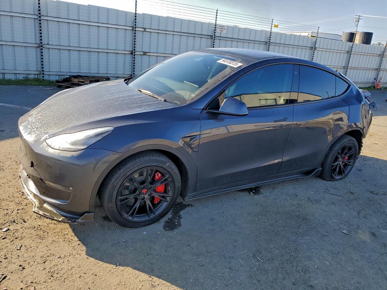 Tesla Model Y Image 1