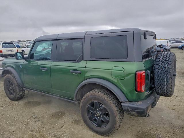 Ford Bronco Black Diamond Image 4