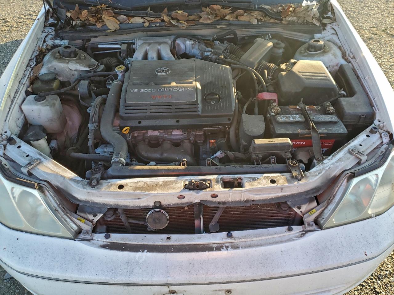 Toyota Avalon Xl Image 6