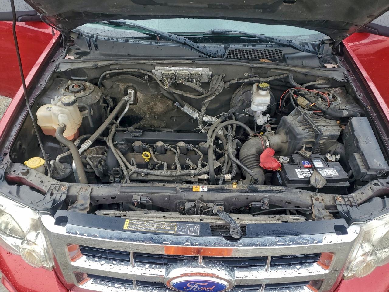 Ford Escape Xlt Image 7