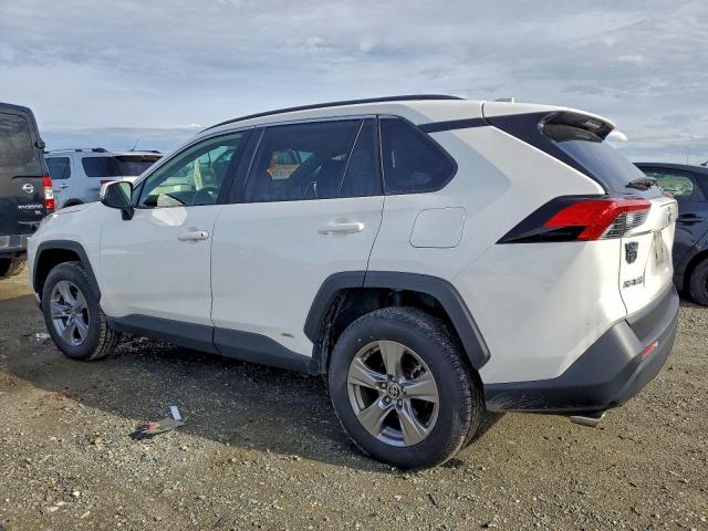 Toyota RAV4 Xle Image 3