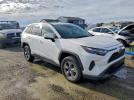 Toyota RAV4 Xle Image 8