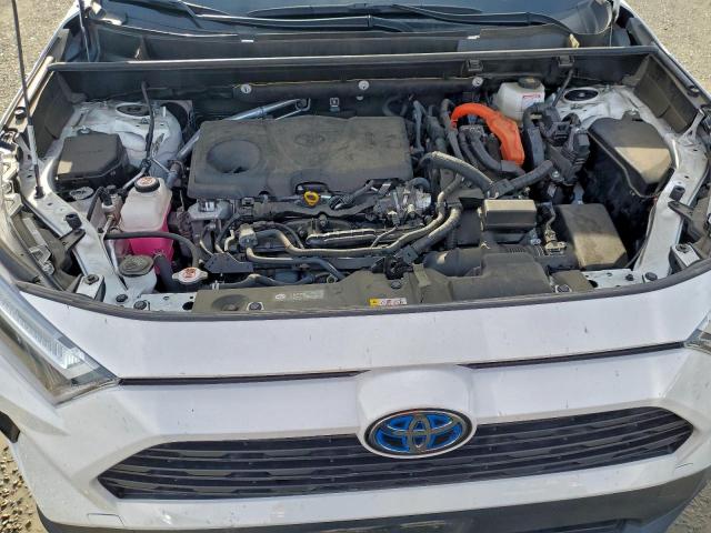 Toyota RAV4 Xle Image 10