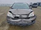 Honda Crv Exl Image 5