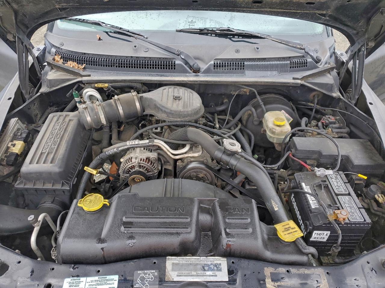 Dodge Dakota Image 12