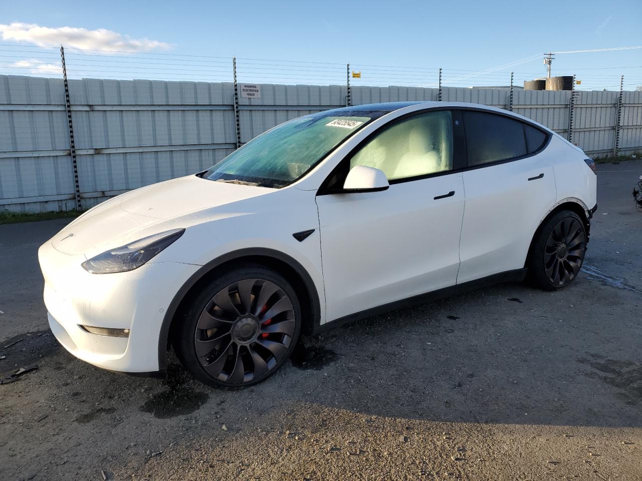 Tesla Model Y Image 1
