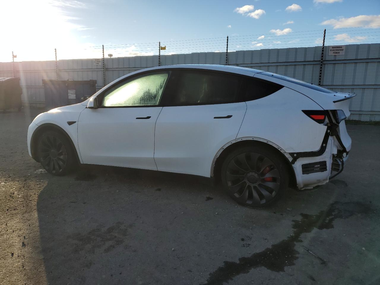 Tesla Model Y Image 6