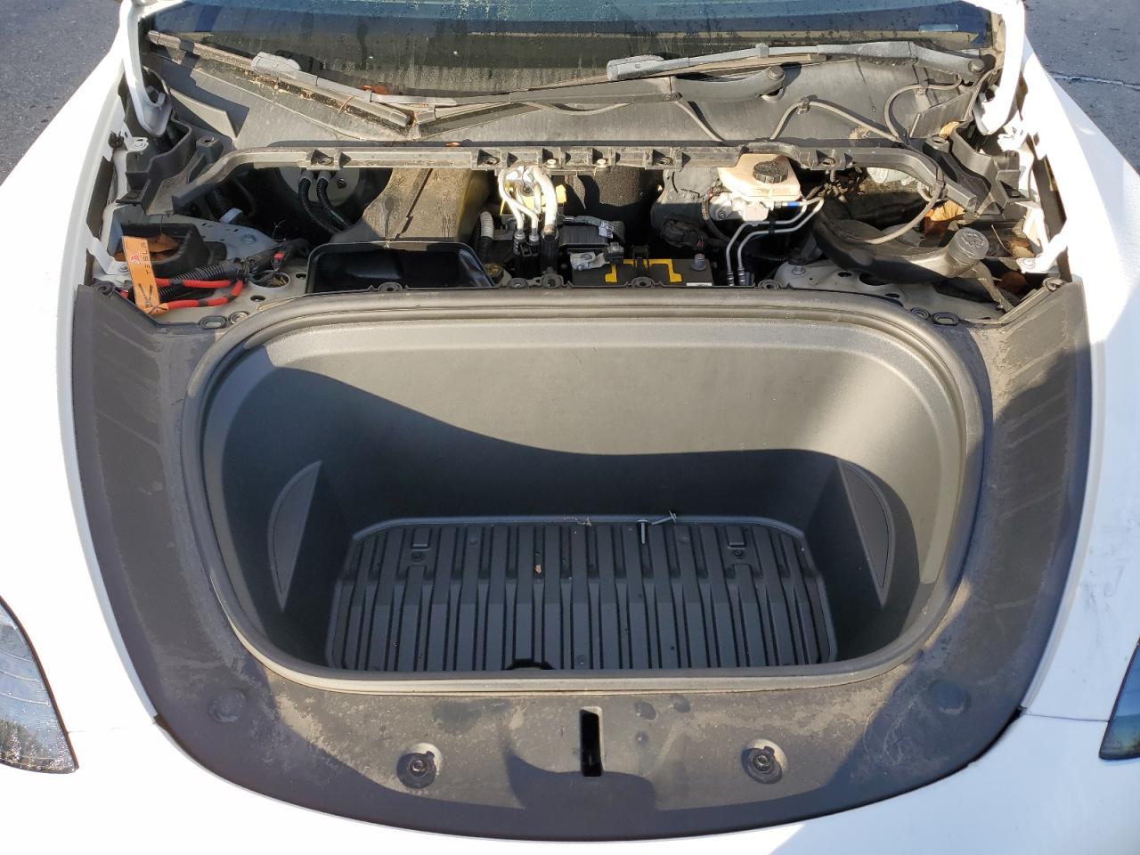 Tesla Model Y Image 13